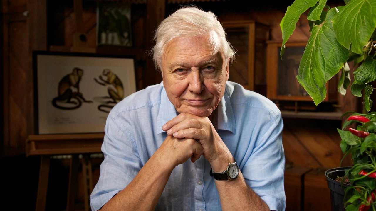 เจาะความลับของธรรมชาติ ตอน ธรรมชาติเยียวยา และ การงอกใหม่เพื่อชีวิตใหม่