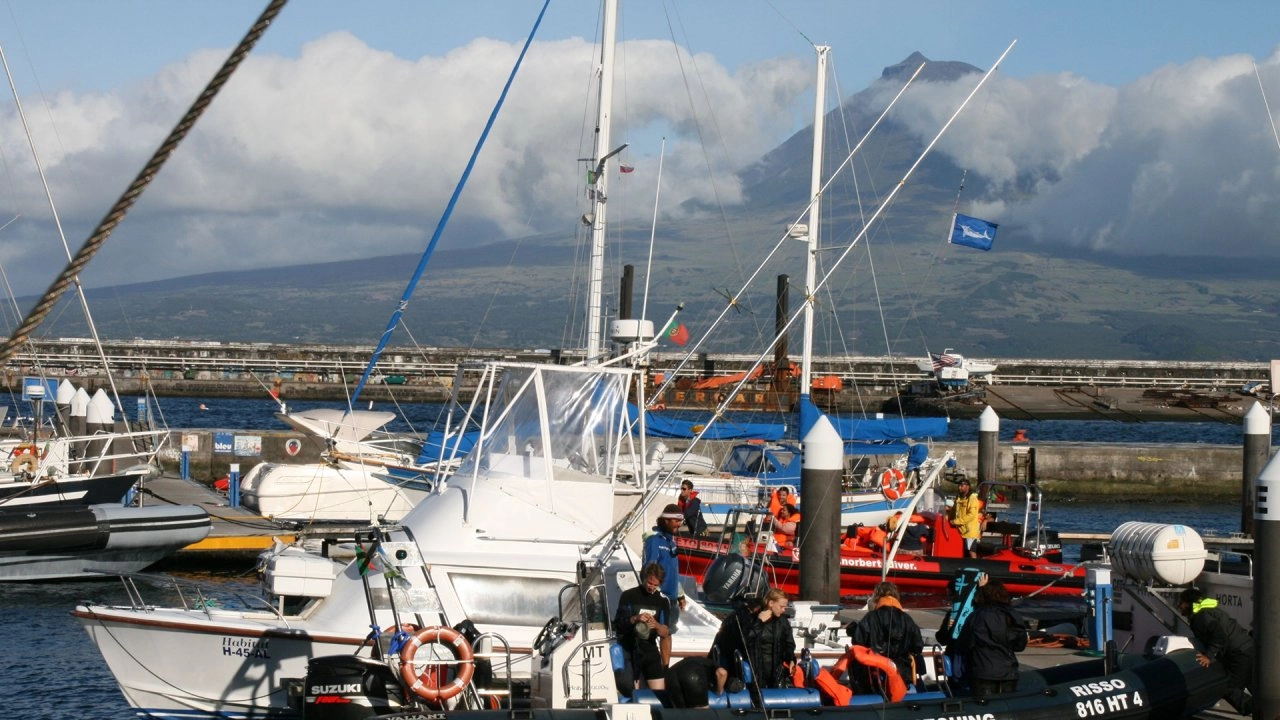 โลก 360 องศา ตอน วาฬแห่งอาโซรึช