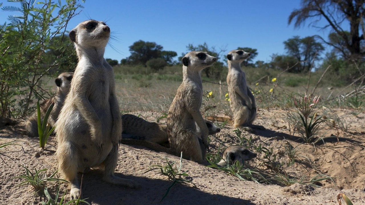 สุดยอดประสาทสัมผัส ตอน การดมกลิ่น