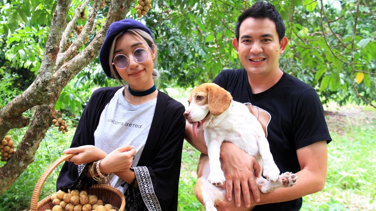 ลองกองตันหยงมัส