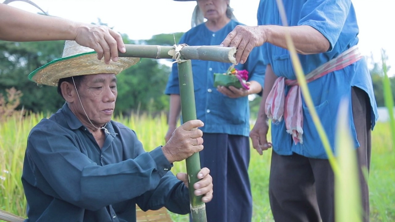 พิธีแรกเกี่ยว