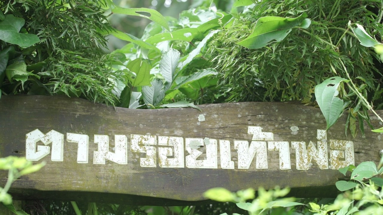 คอนโดพอเพียง