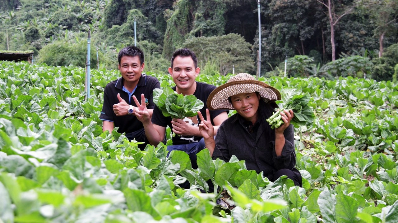 ศูนย์พัฒนาโครงการหลวงตีนตก