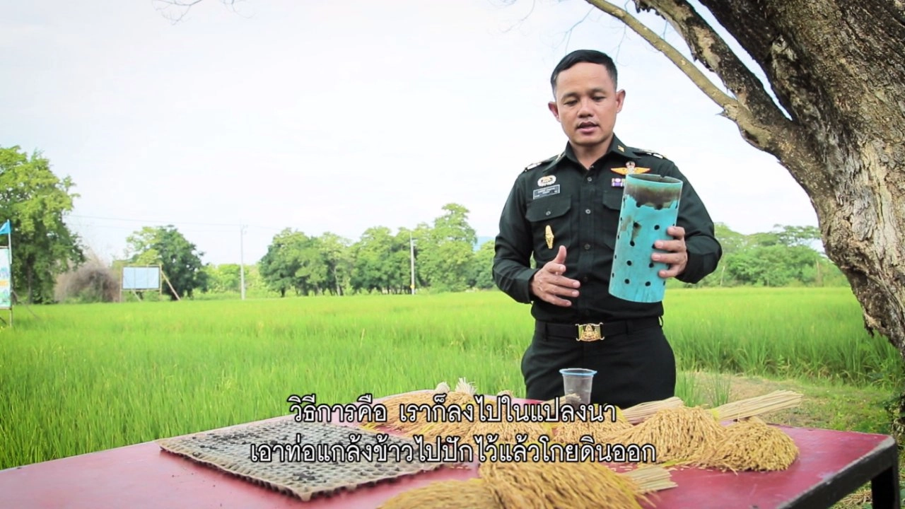 ลดต้นทุนเมล็ดข้าวและน้ำ