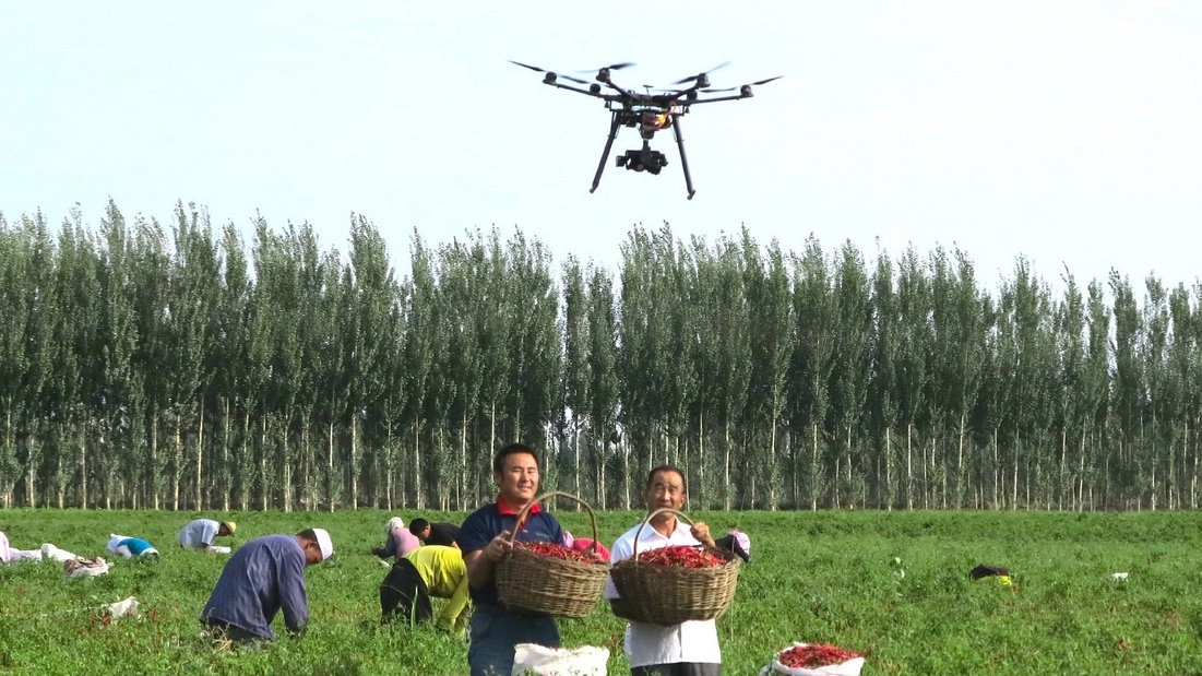 สุดยอดเมนูแดนมังกร ตอนที่ 8