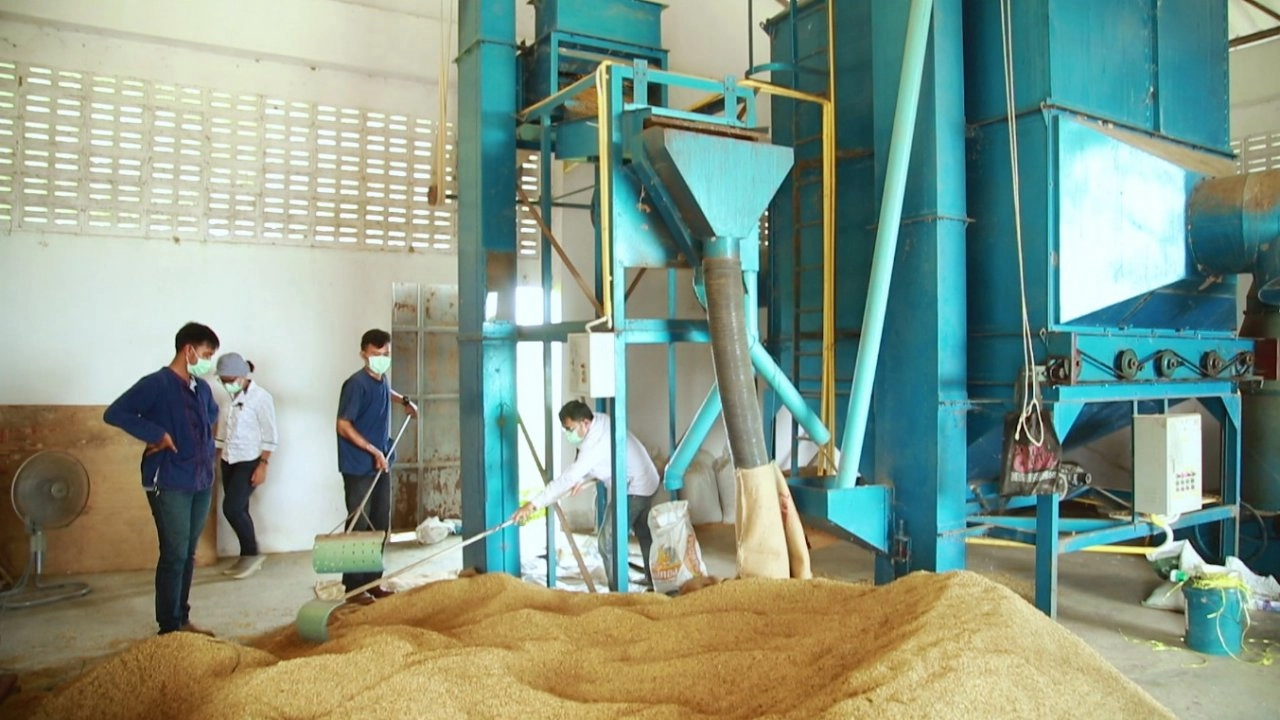 ​โรงสีข้าว
