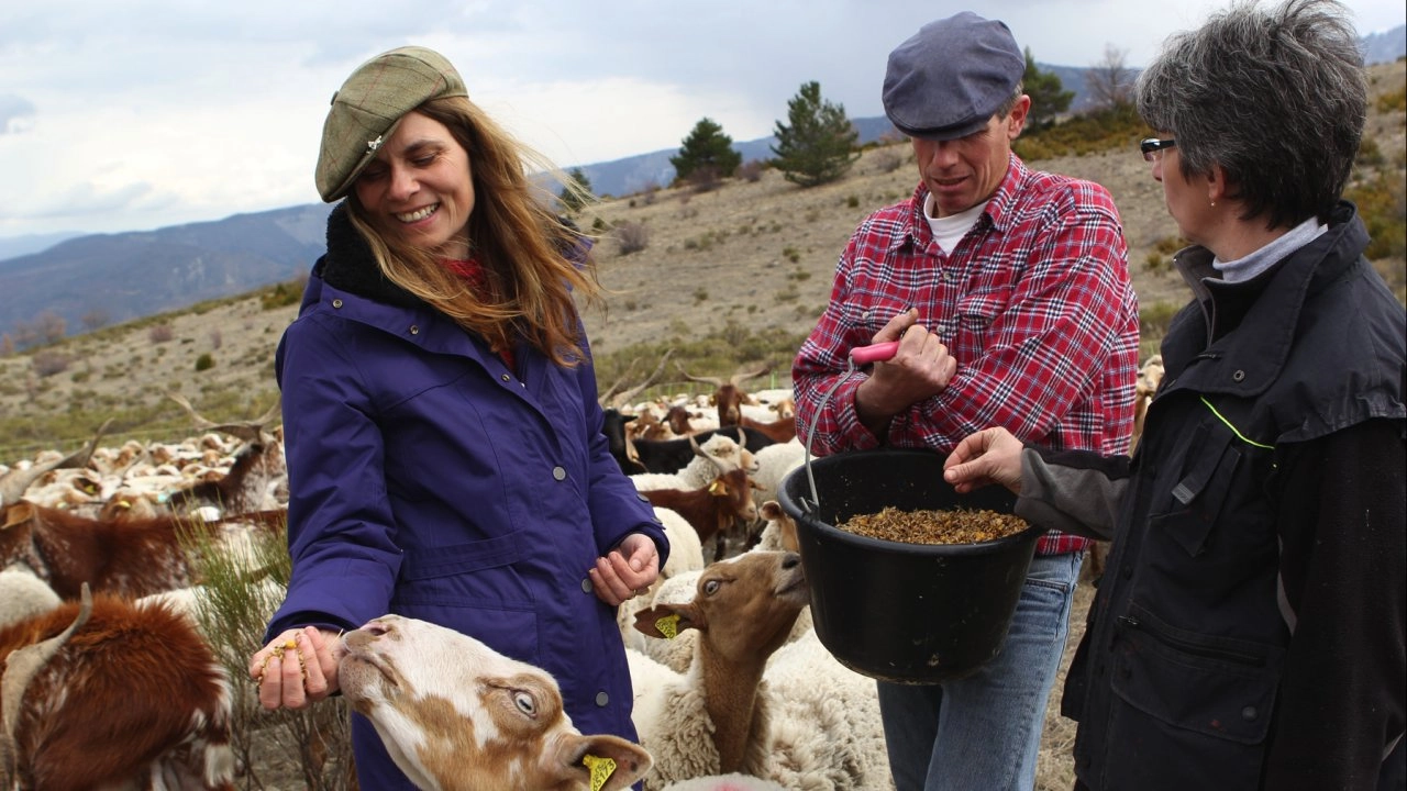 ซาราห์ตะลุยยุโรป ตอนที่ 8