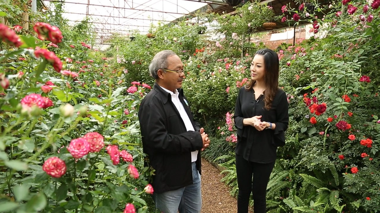 ศูนย์พัฒนาโครงการหลวงทุ่งเริง, เมนูสุขภาพจากโครงการหลวงทุ่งเริง