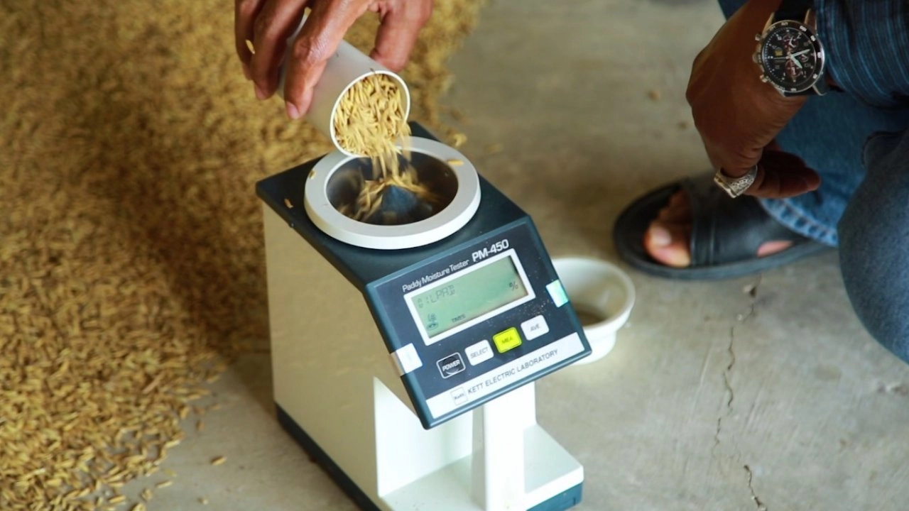 เทคโนโลยีคัดแยกเมล็ดพันธุ์