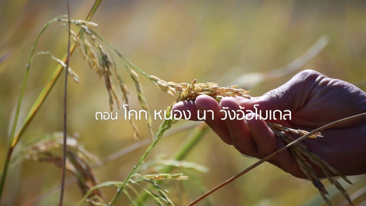 โคกหนองนา วังอ้อโมเดล