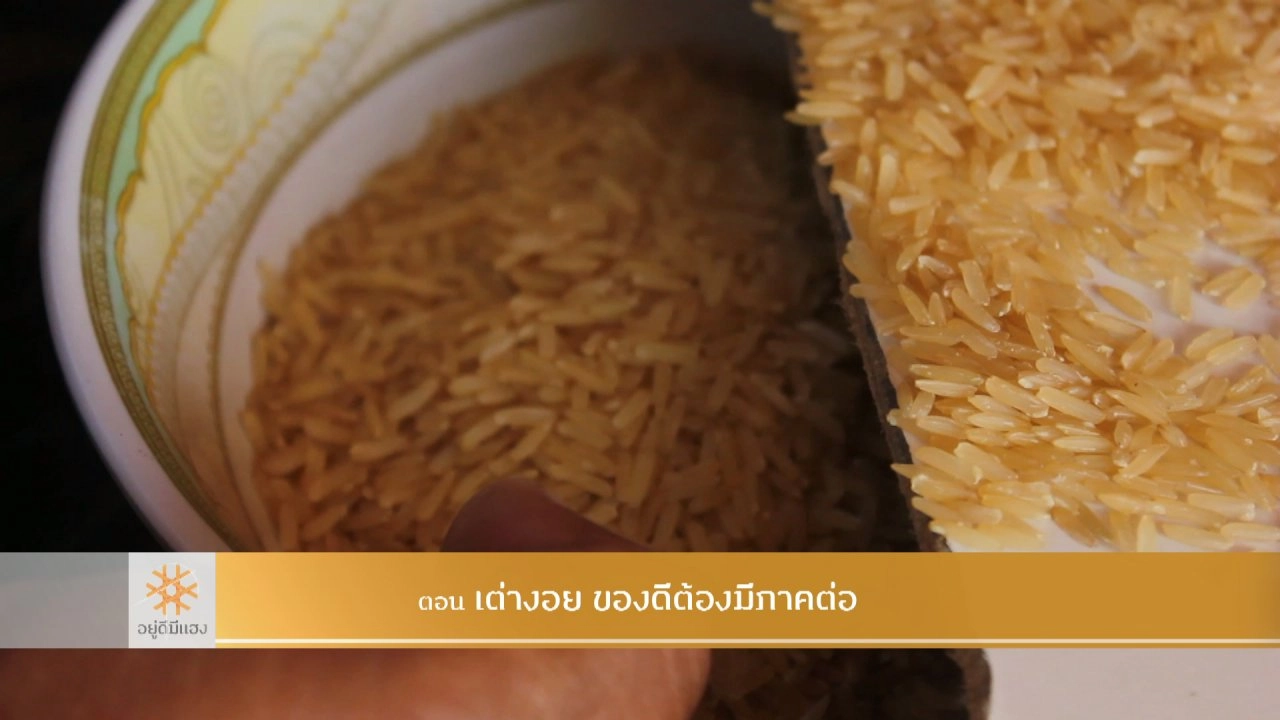 เต่างอย ของดีต้องมีภาคต่อ​​