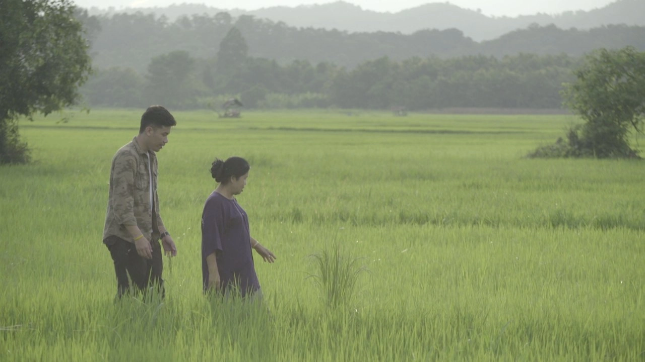 ​นางฟ้านาต้นจั่น