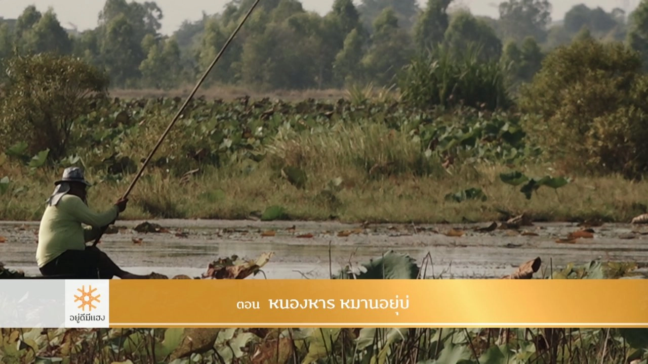 หนองหาร หมานอยู่บ่​