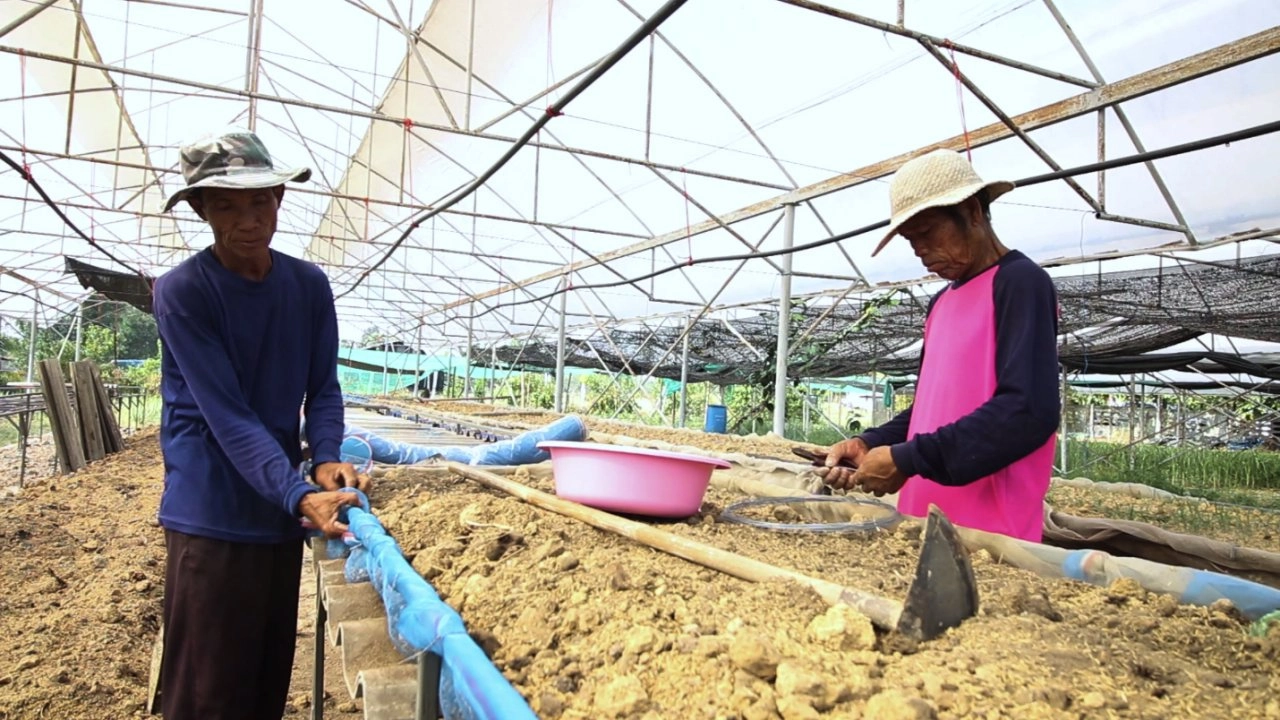 เกษตรแห่งการเรียนรู้ สู่วิถีที่พอเพียง