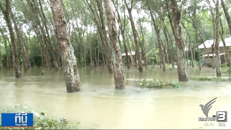 ประเด็นข่าว (5 ม.ค. 60)