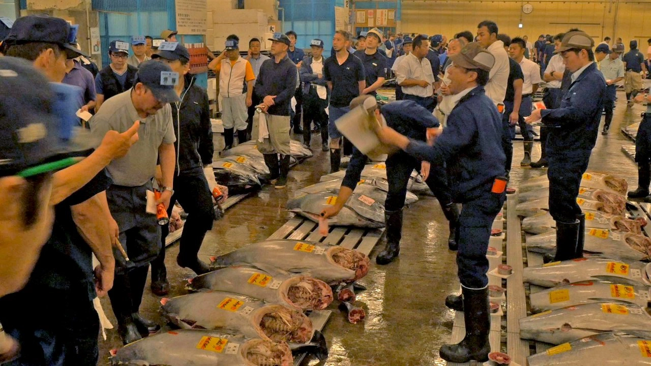 ตะลุยสึกิจิ – ตลาดปลาใหญ่ที่สุดในโลก