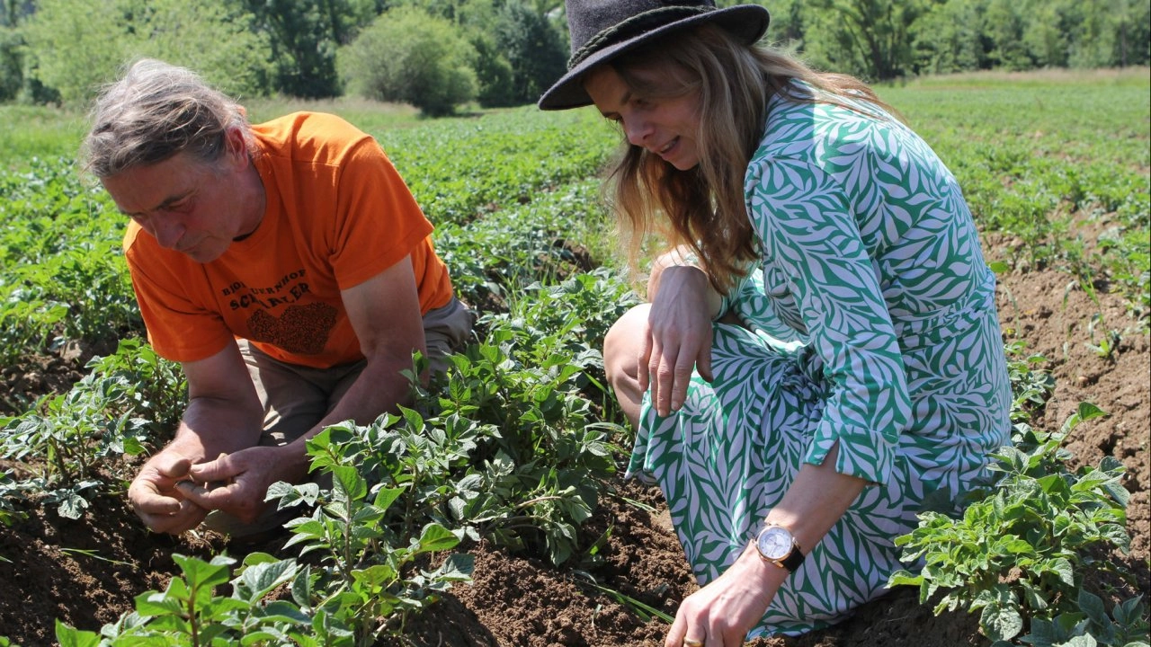 ซาราห์ตะลุยยุโรป ตอนที่ 10