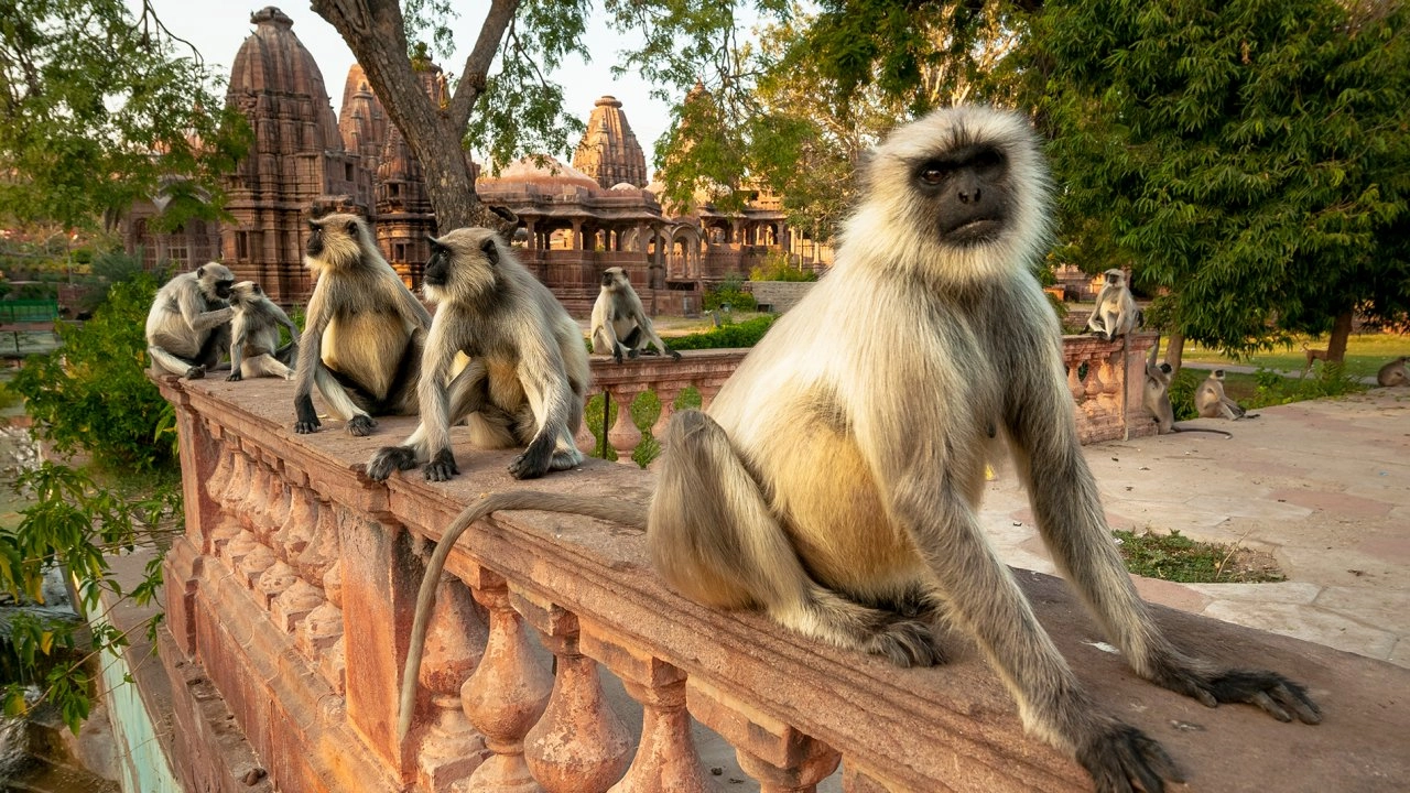 มหัศจรรย์ธรรมชาติอินเดีย ตอน ดินแดนแห่งการเปลี่ยนแปลง