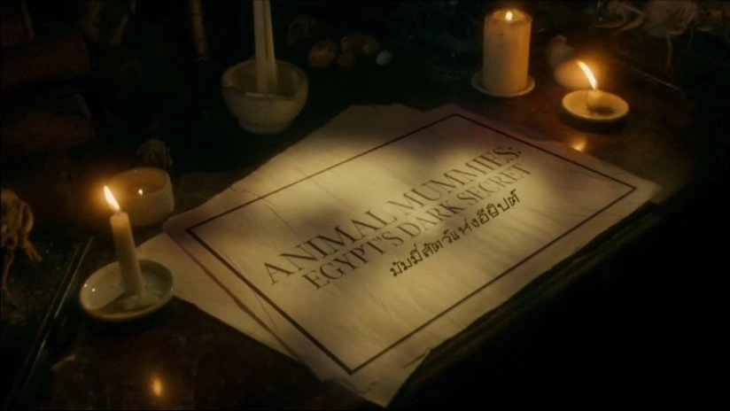 มัมมี่สัตว์แห่งอียิปต์