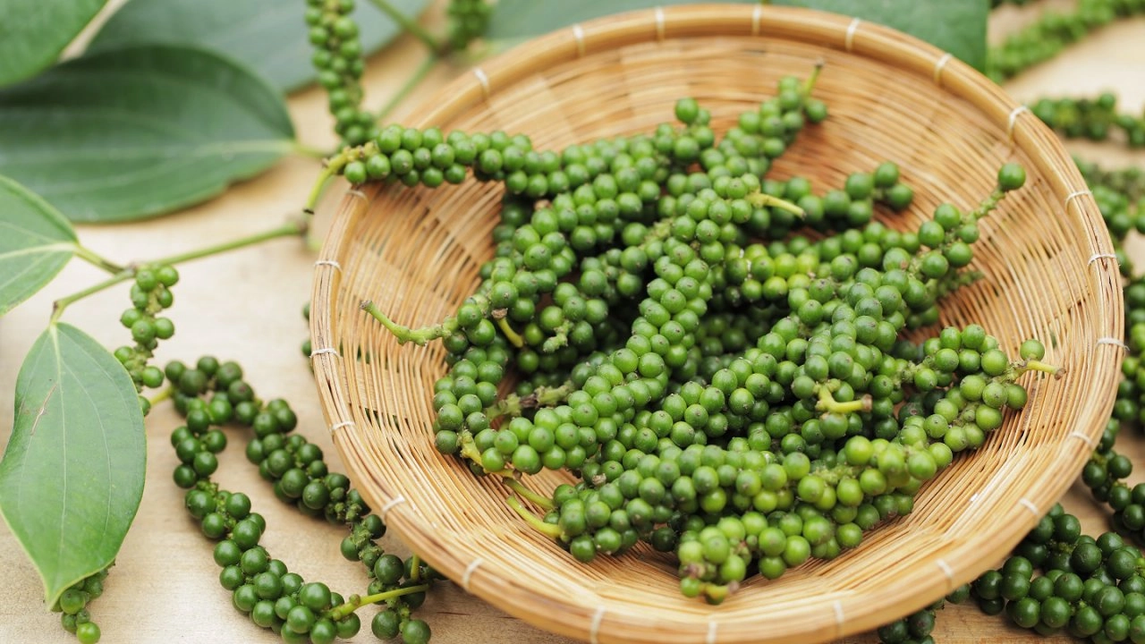 พริกไทย