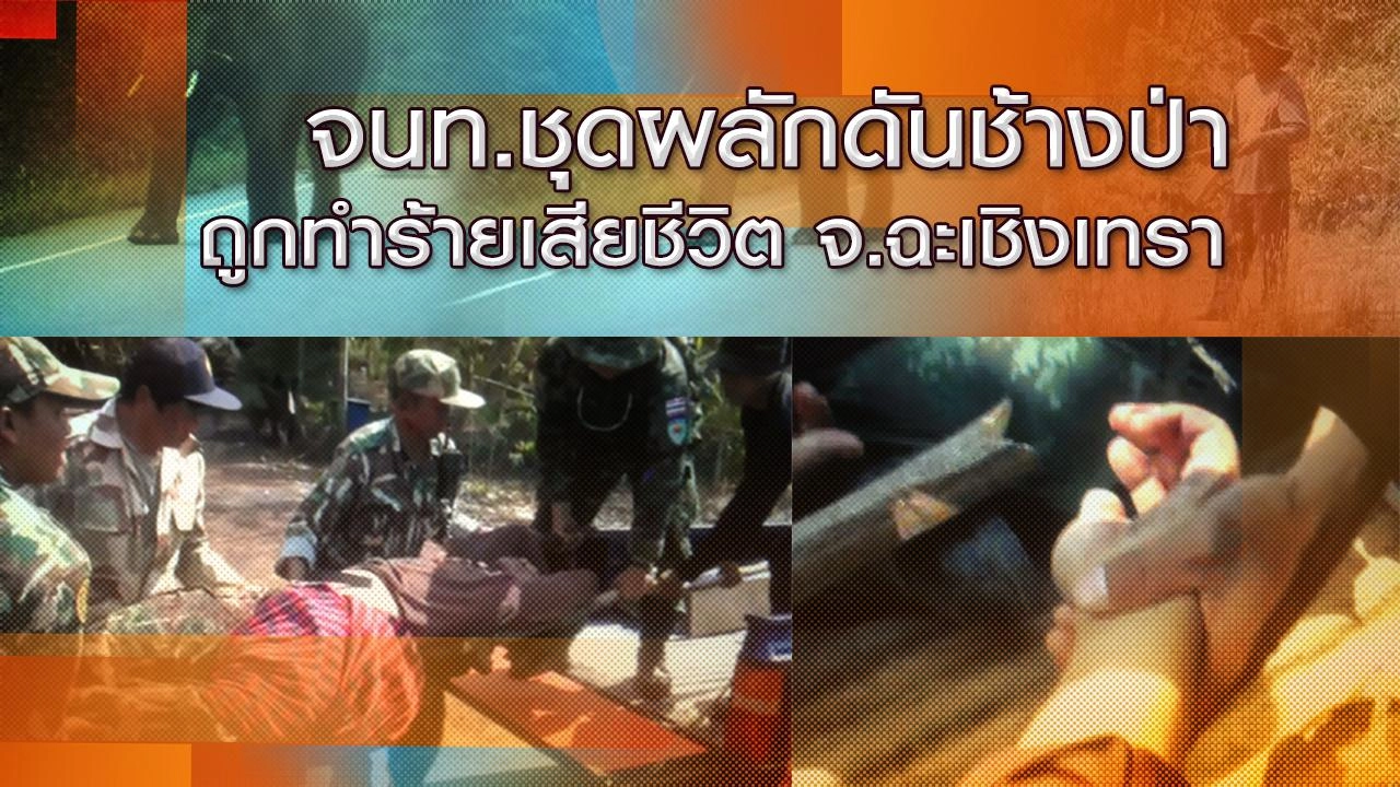 จนท.ชุดผลักดันช้างป่าถูกทำร้ายเสียชีวิต จ.ฉะเชิงเทรา