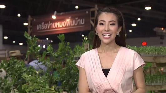 สวนผักคนเมือง