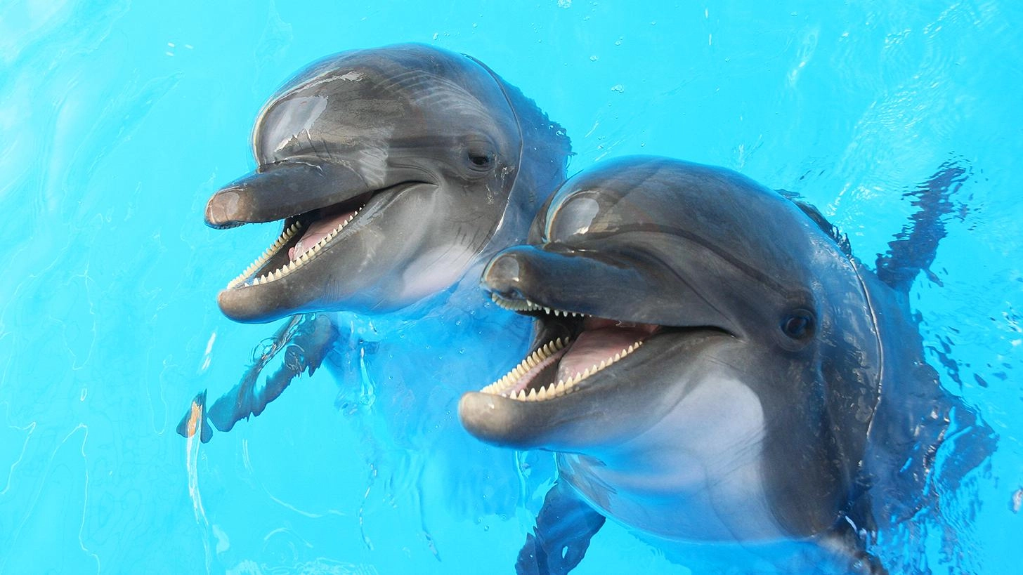 เพื่อนผู้มีพิษและพลังพิเศษ