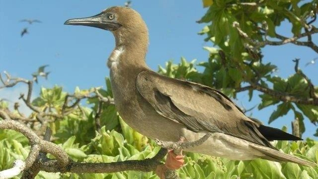 ผจญภัยขุมทรัพย์แห่งธรรมชาติ ตอน ดินแดนแห่งสวรรค์