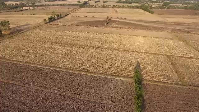 ​ทุ่งกุลาลั้ลลา