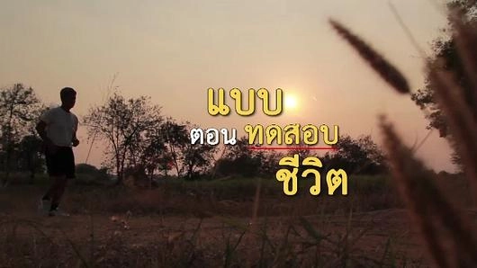 แบบทดสอบชีวิต