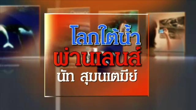 ​โลกใต้น้ำผ่านเลนส์ นัท สุมนเตมีย์