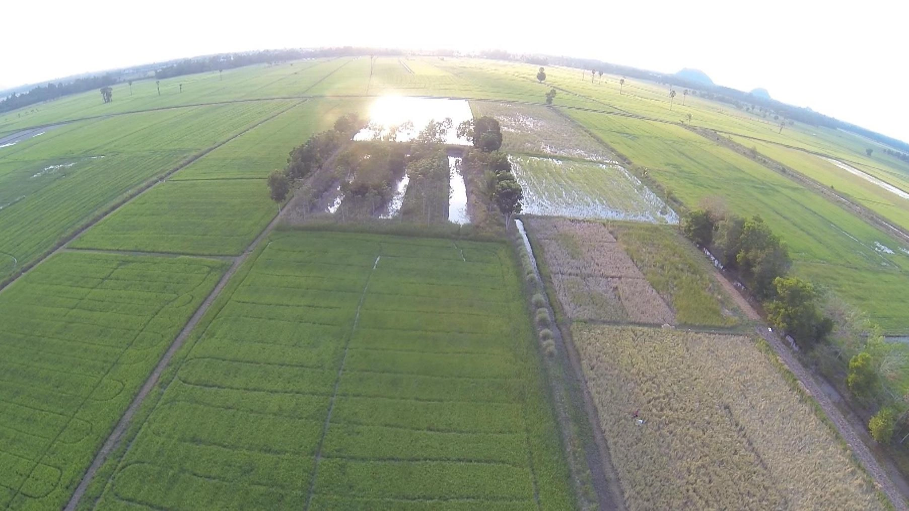 คันน้ำ คันนา