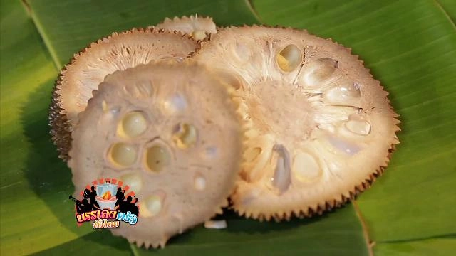 ​ชม ชิม ถิ่นเก่า