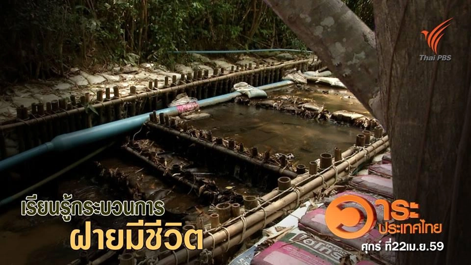 เรียนรู้การสร้างฝายมีชีวิต