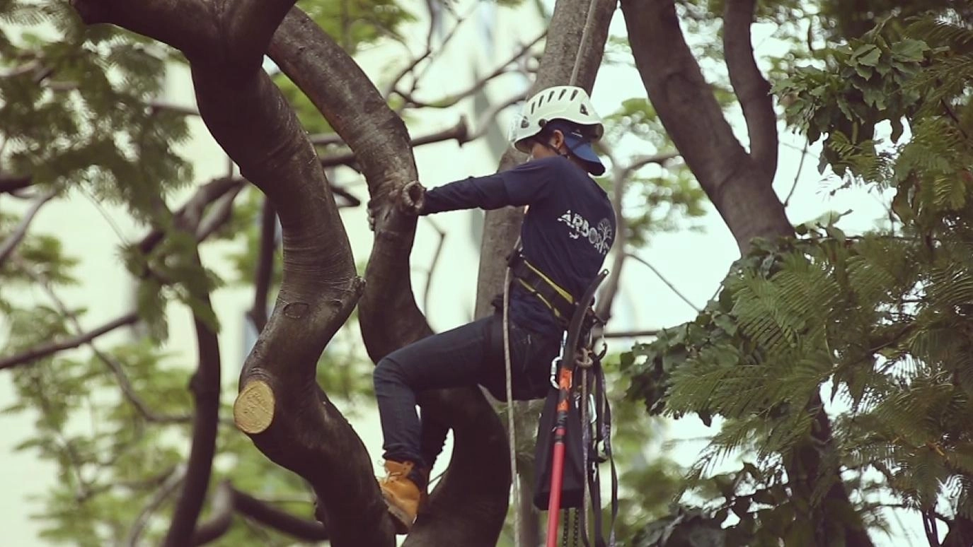 ทีวีชุมชน