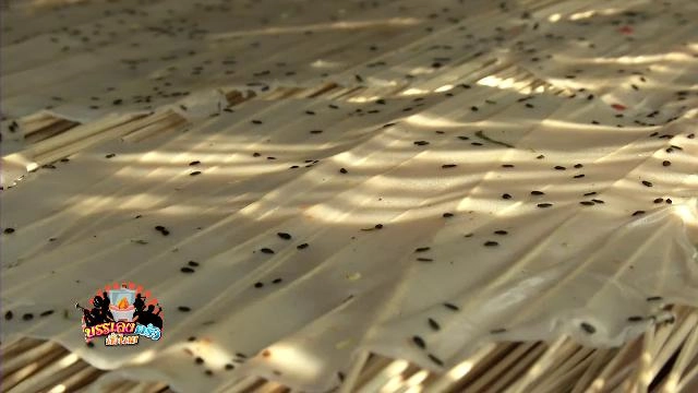 ชม ชิม ของดี เมืองลับแล จ.อุตรดิตถ์