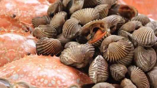 เที่ยวสองชุมชนทะเลอันดามัน เกาะปันหยี บ้านบางพัฒน์ จ.พังงา