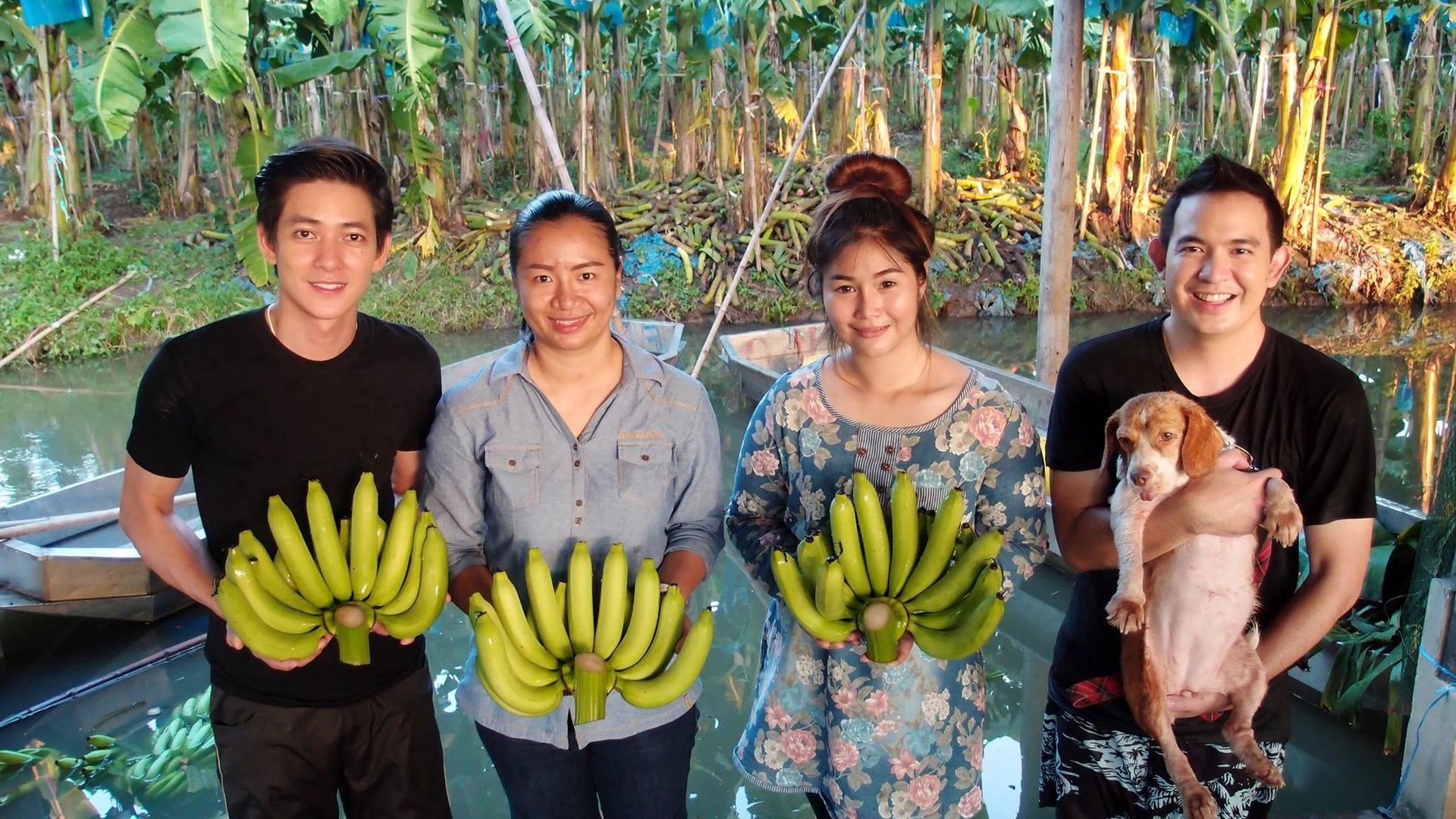 เรื่องกล้วยๆ กล้วยหอมทอง