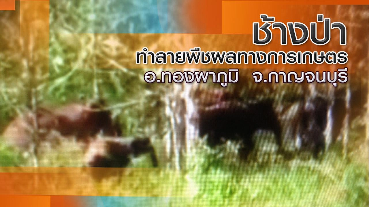 ออกอากาศ 12 ม.ค. 59