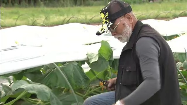 มืออาชีพ ตอน ลูกศิษย์ของธรรมชาติ