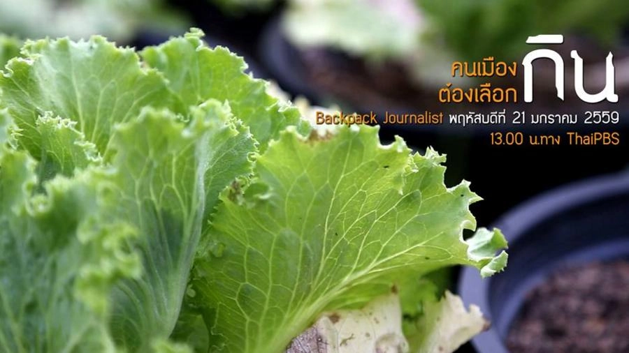 คนเมืองต้องเลือกกิน