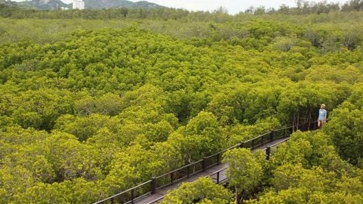 สุข สงบ ปากน้ำปราณ จ.ประจวบคีรีขันธ์