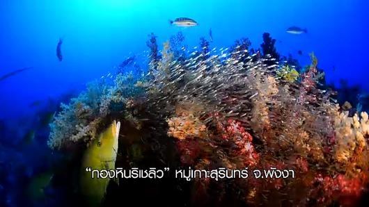 มรดกโลกสิมิลัน จ.พังงา