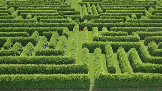 เขาวงกต