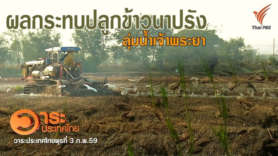 ผลกระทบปลูกข้าวนาปรัง ลุ่มน้ำเจ้าพระยา