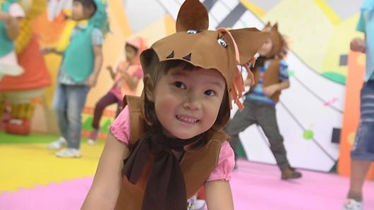 กลุ่มดาวฝาแฝด