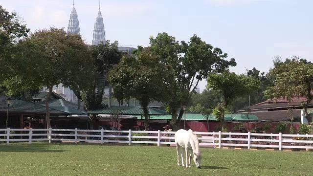 ค้นพบโลกของเรา ตอน มาเลเซีย