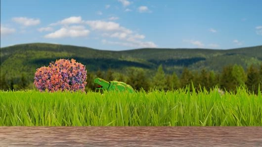 เต่าวิเศษ