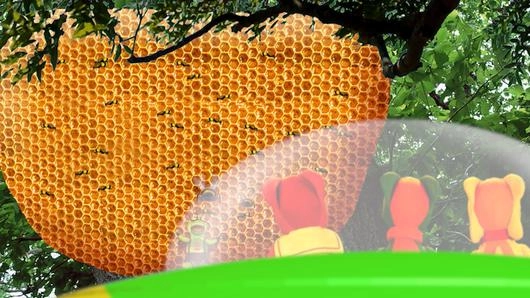 มหัศจรรย์รังผึ้ง