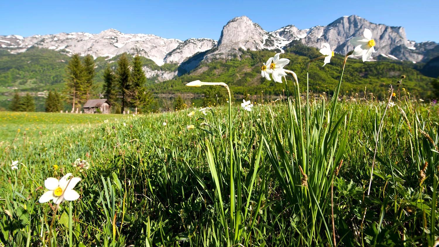 ดินแดนข้ามกาลเวลา เอาส์เซเออร์ลันท์